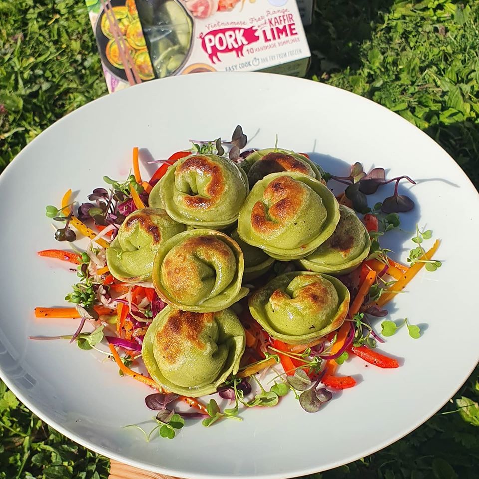 Free Range Pork Dumplings with quick slaw House of Dumplings